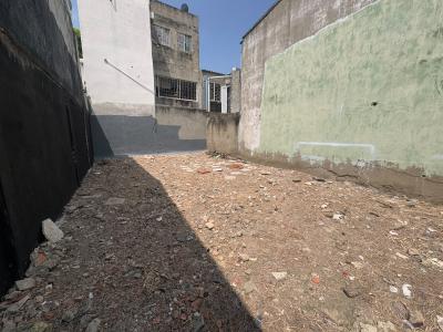 Lotes y fincas Ventas  TERNERA